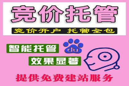 SEM竞价培训：实战案例解析与优化